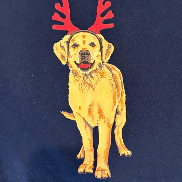 J Crew Holiday T - Picture 3 of 3